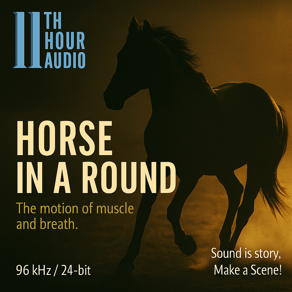 Horse in a Round